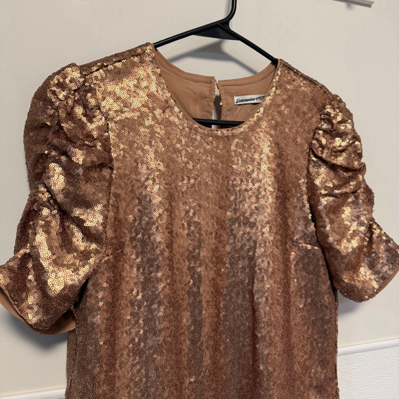 Women's Abercrombie & Fitch M Gold Bronze Sequin Puff Sleeve Blouse New NWOT - Picture 7 of 16